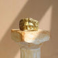 Venus Half Face Open Ring For Men And Women