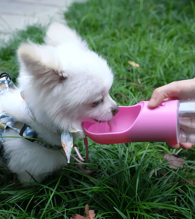 Traveling Out Portable Dog Water Dispenser