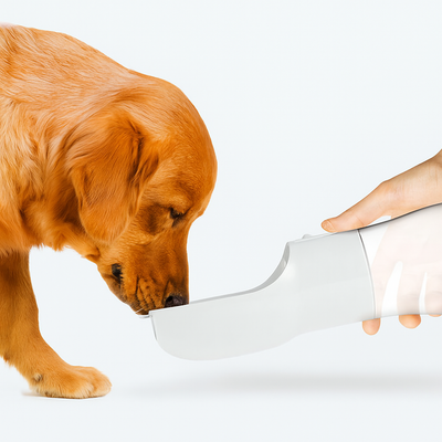 Traveling Out Portable Dog Water Dispenser